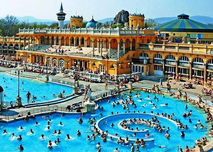 Quiet B&b, Airport Connection Apartament *